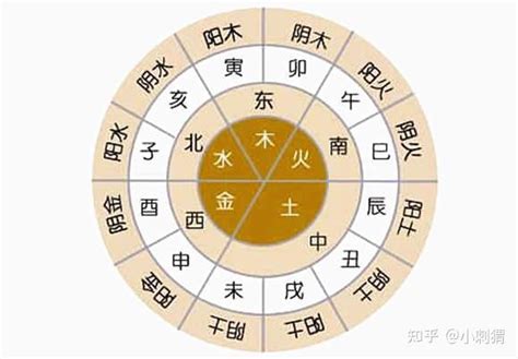 陰金|十二地支酉金詳解